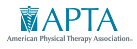 american physical therapy association